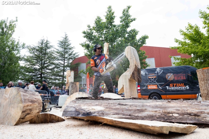 Tallado de Madera con Motosierra./ Viksar Fotografía