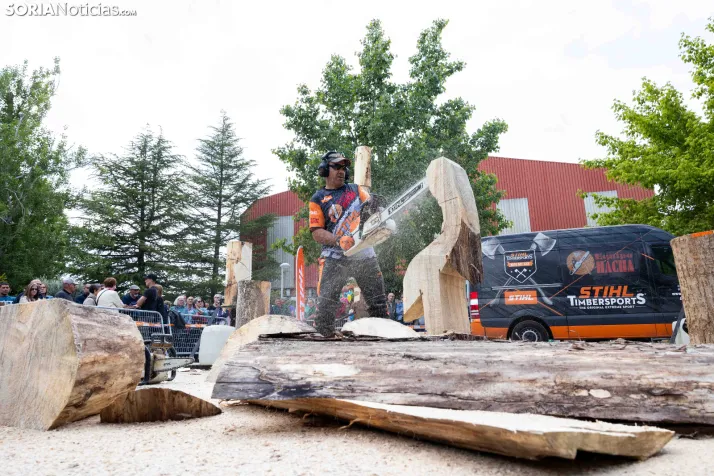 Tallado de Madera con Motosierra./ Viksar Fotografía