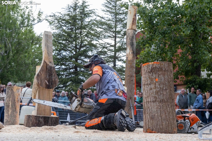 Tallado de Madera con Motosierra./ Viksar Fotografía