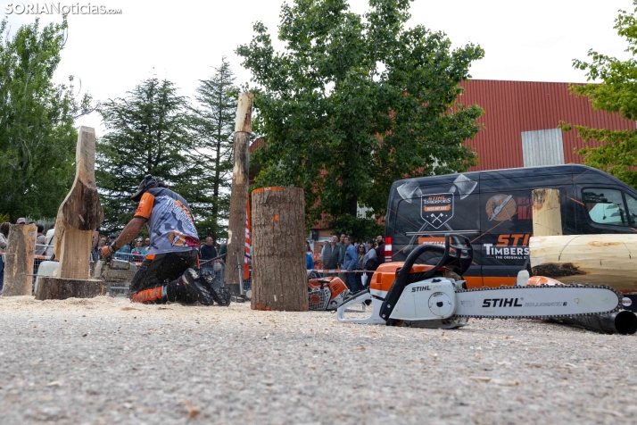 Tallado de Madera con Motosierra./ Viksar Fotografía