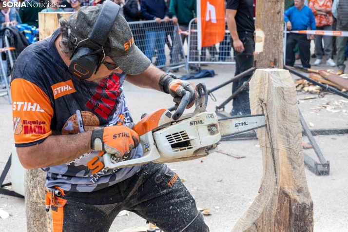 Tallado de Madera con Motosierra./ Viksar Fotografía
