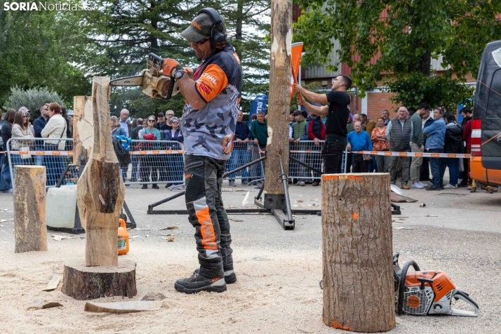 Tallado de Madera con Motosierra./ Viksar Fotografía