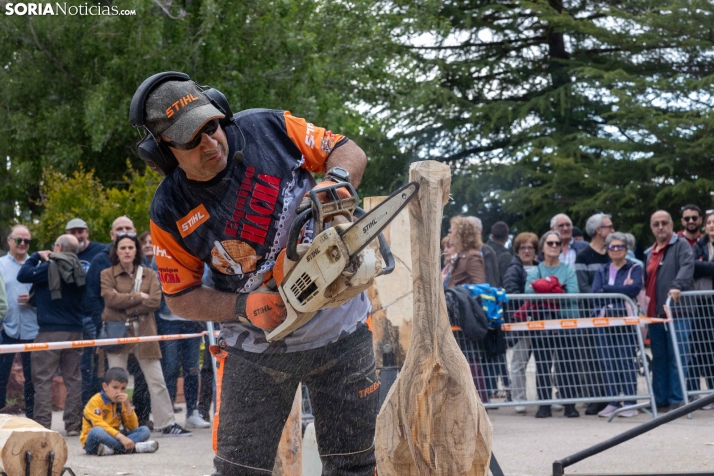 Tallado de Madera con Motosierra./ Viksar Fotografía