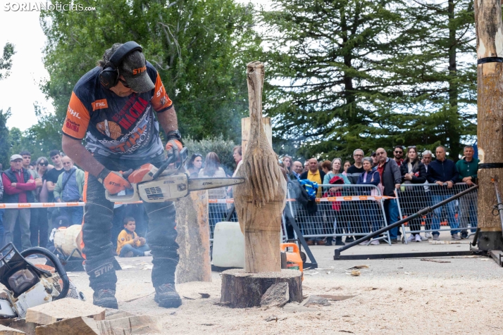Tallado de Madera con Motosierra./ Viksar Fotografía