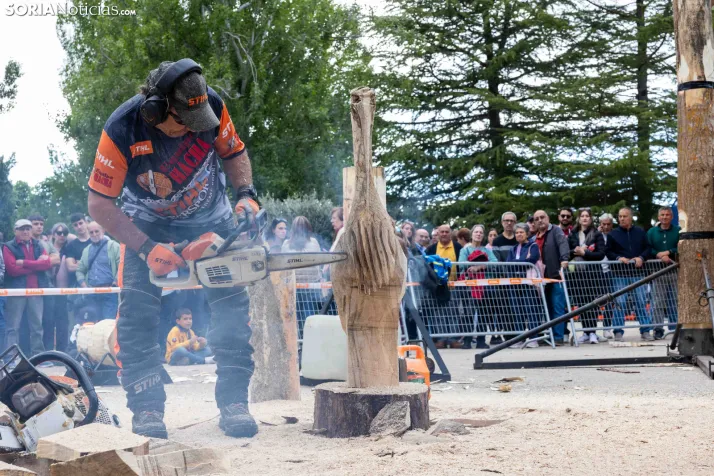Tallado de Madera con Motosierra./ Viksar Fotografía