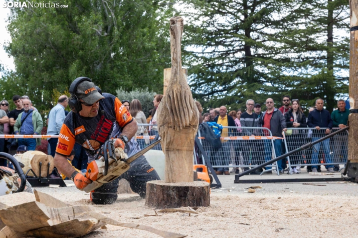 Tallado de Madera con Motosierra./ Viksar Fotografía