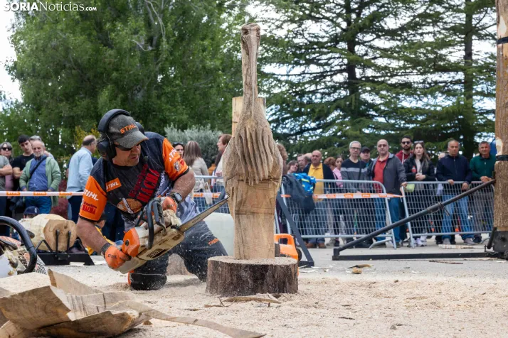 Tallado de Madera con Motosierra./ Viksar Fotografía