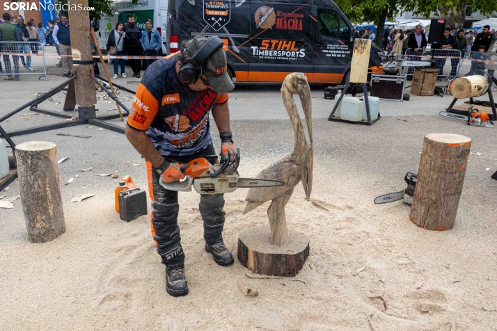 Tallado de Madera con Motosierra./ Viksar Fotografía