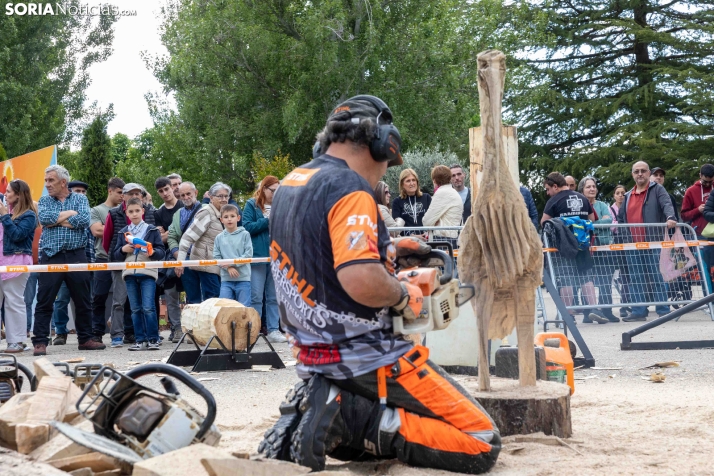 Tallado de Madera con Motosierra./ Viksar Fotografía