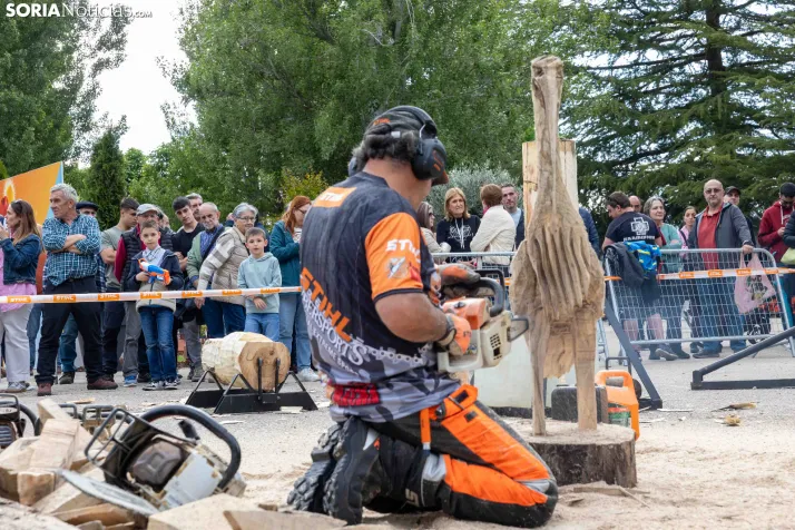 Tallado de Madera con Motosierra./ Viksar Fotografía