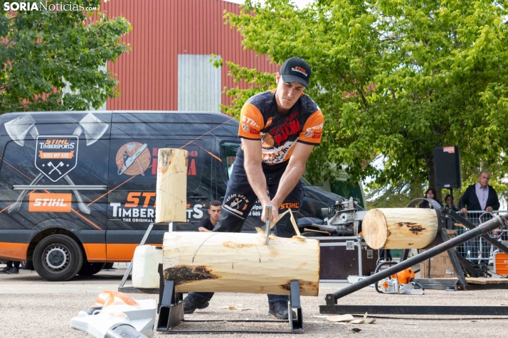 Tallado de Madera con Motosierra./ Viksar Fotografía