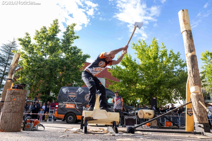 Tallado de Madera con Motosierra./ Viksar Fotografía