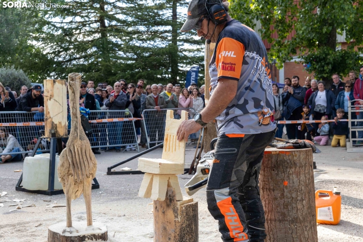 Tallado de Madera con Motosierra./ Viksar Fotografía