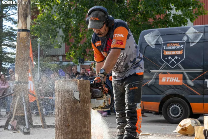 Tallado de Madera con Motosierra./ Viksar Fotografía