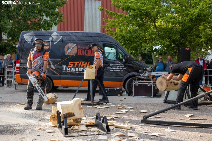 Tallado de Madera con Motosierra./ Viksar Fotografía