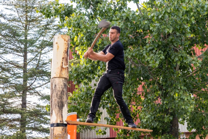 Tallado de Madera con Motosierra./ Viksar Fotografía