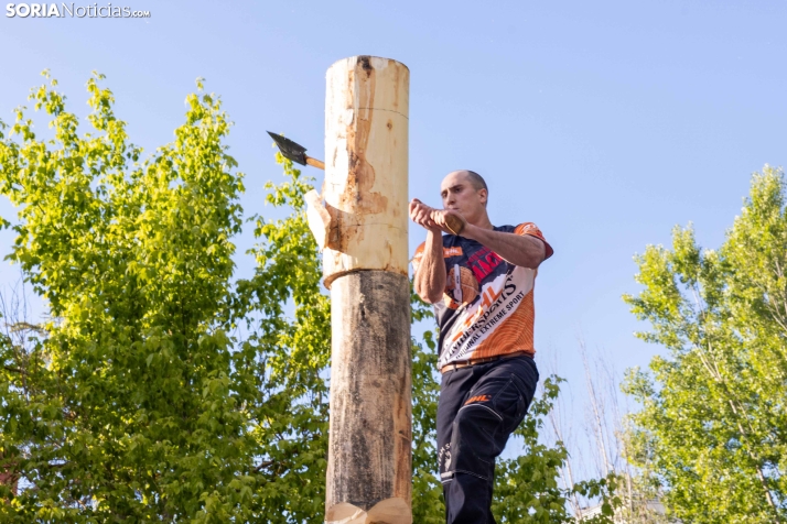 Tallado de Madera con Motosierra./ Viksar Fotografía