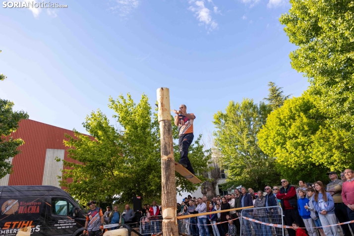 Tallado de Madera con Motosierra./ Viksar Fotografía