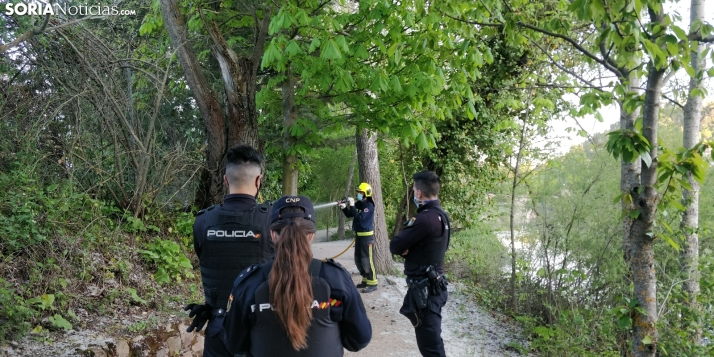 La nieve de mayo que puede incendiar tu barrio: el peligro oculto de las pelusas de chopo