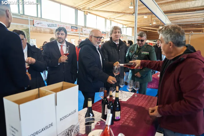 64 Feria de Muestras de Almazán / frangarciafoto