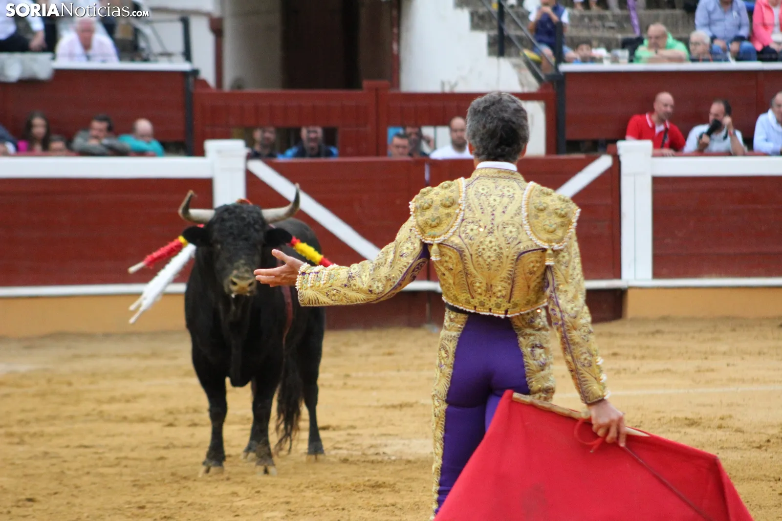 La UVa analiza en Soria el fenómeno taurino en un congreso internacional