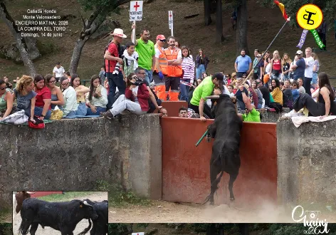 Fotos de Vendedor en Cañada Honda/ José Luis Chaín.