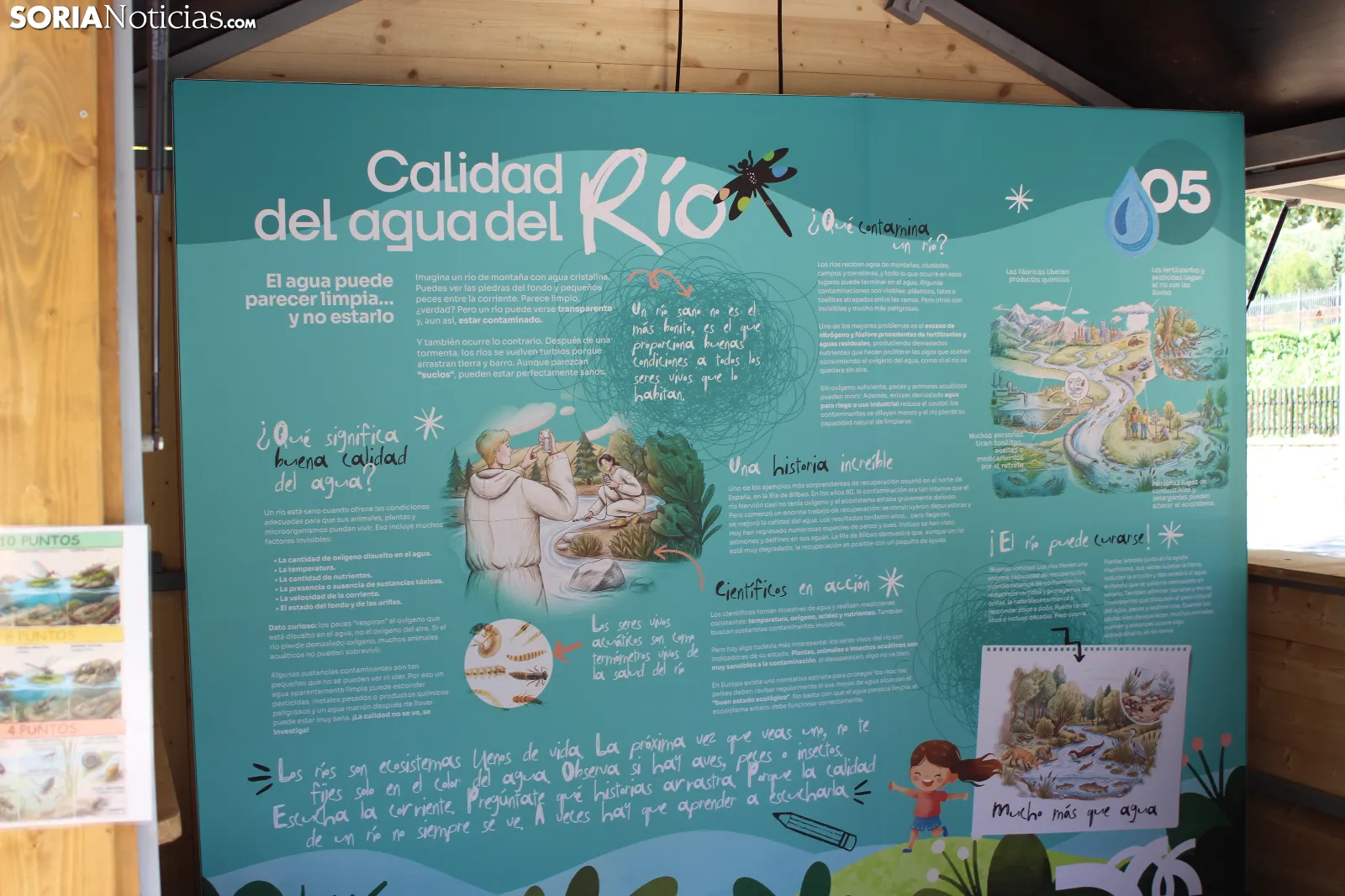 Foto 10 -  De huellas de aves a calidad del agua: la inmersi&oacute;n total de los ni&ntilde;os en el Duero