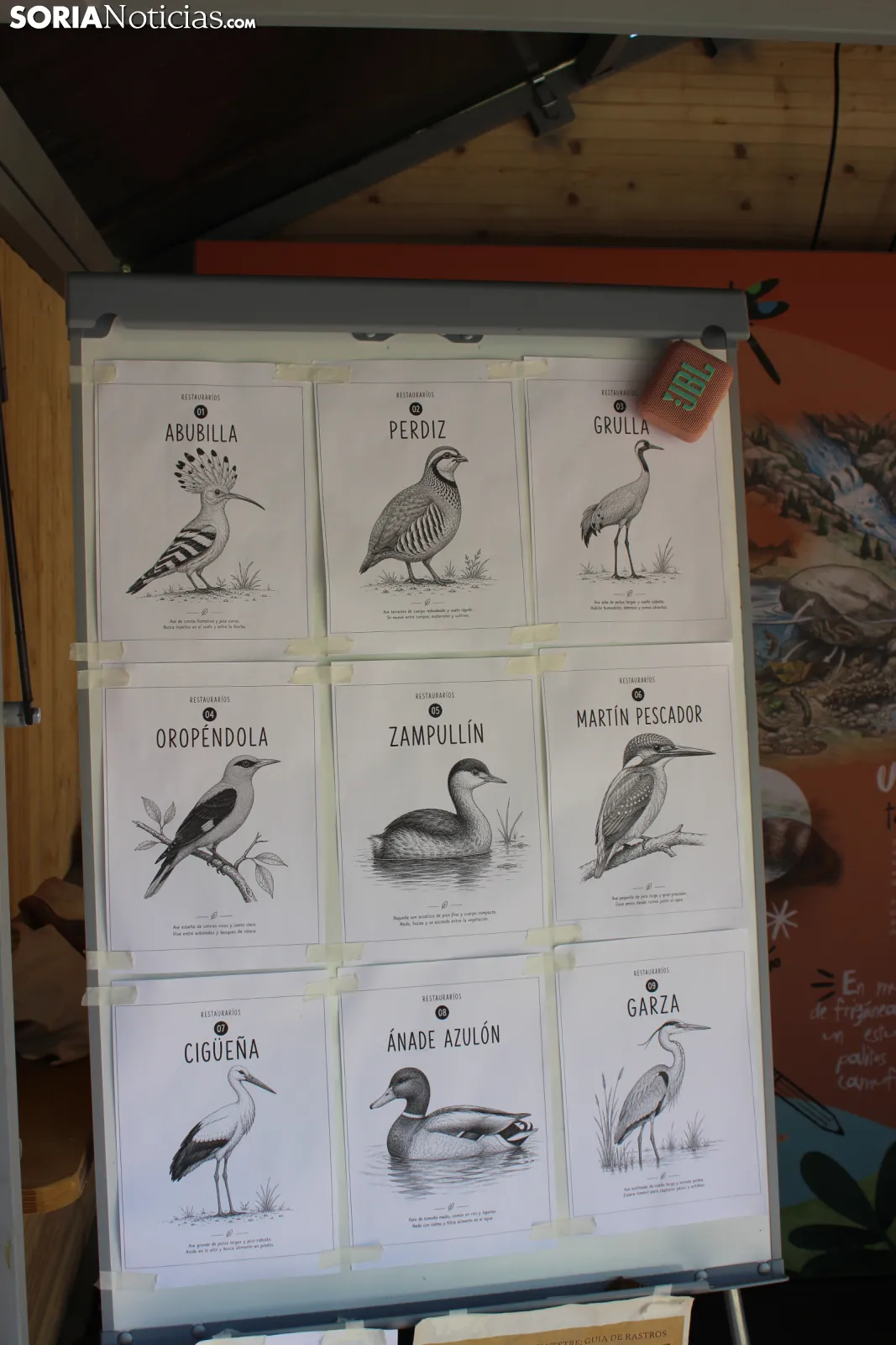 Foto 8 -  De huellas de aves a calidad del agua: la inmersi&oacute;n total de los ni&ntilde;os en el Duero