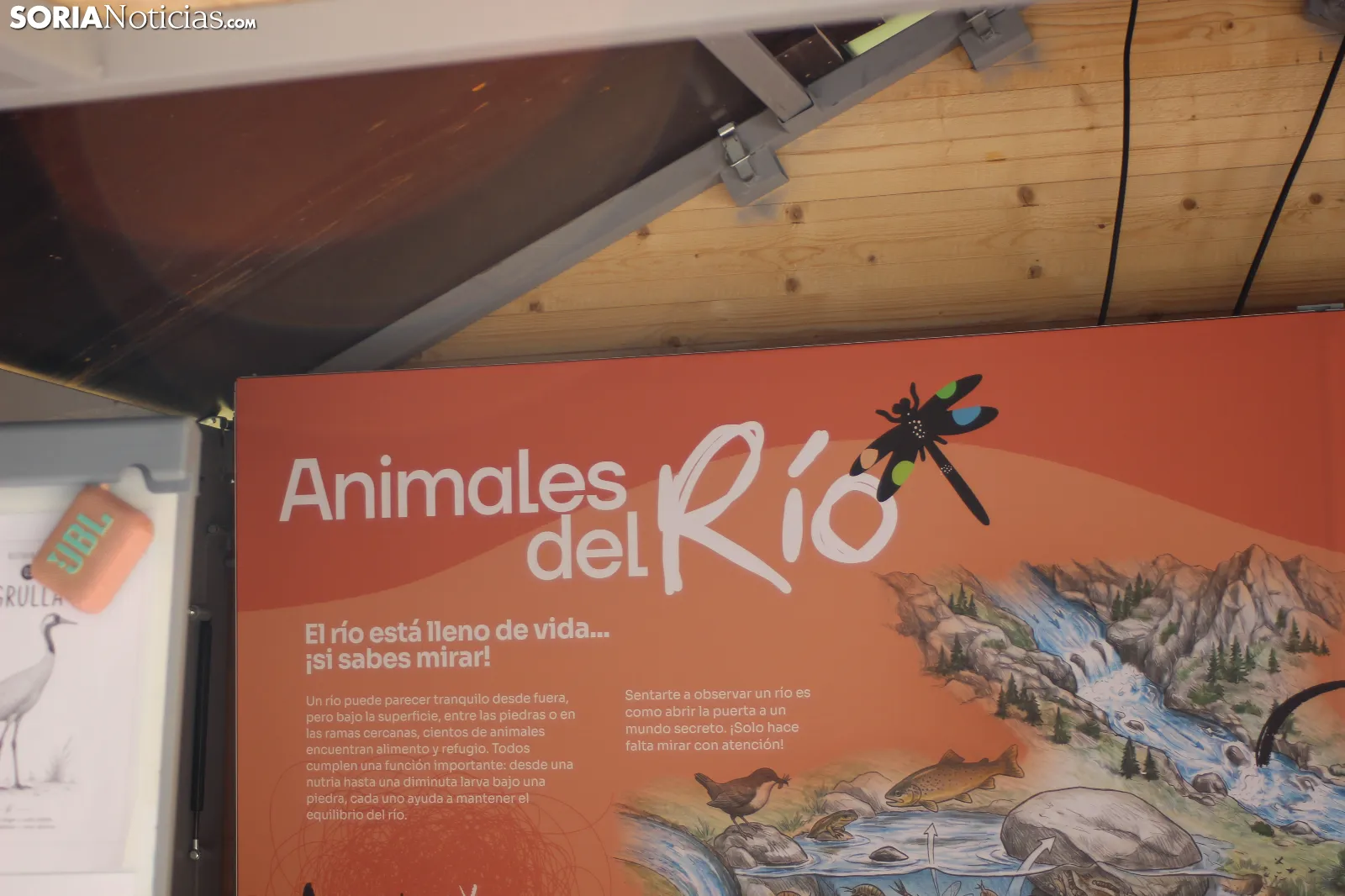 Foto 7 -  De huellas de aves a calidad del agua: la inmersi&oacute;n total de los ni&ntilde;os en el Duero