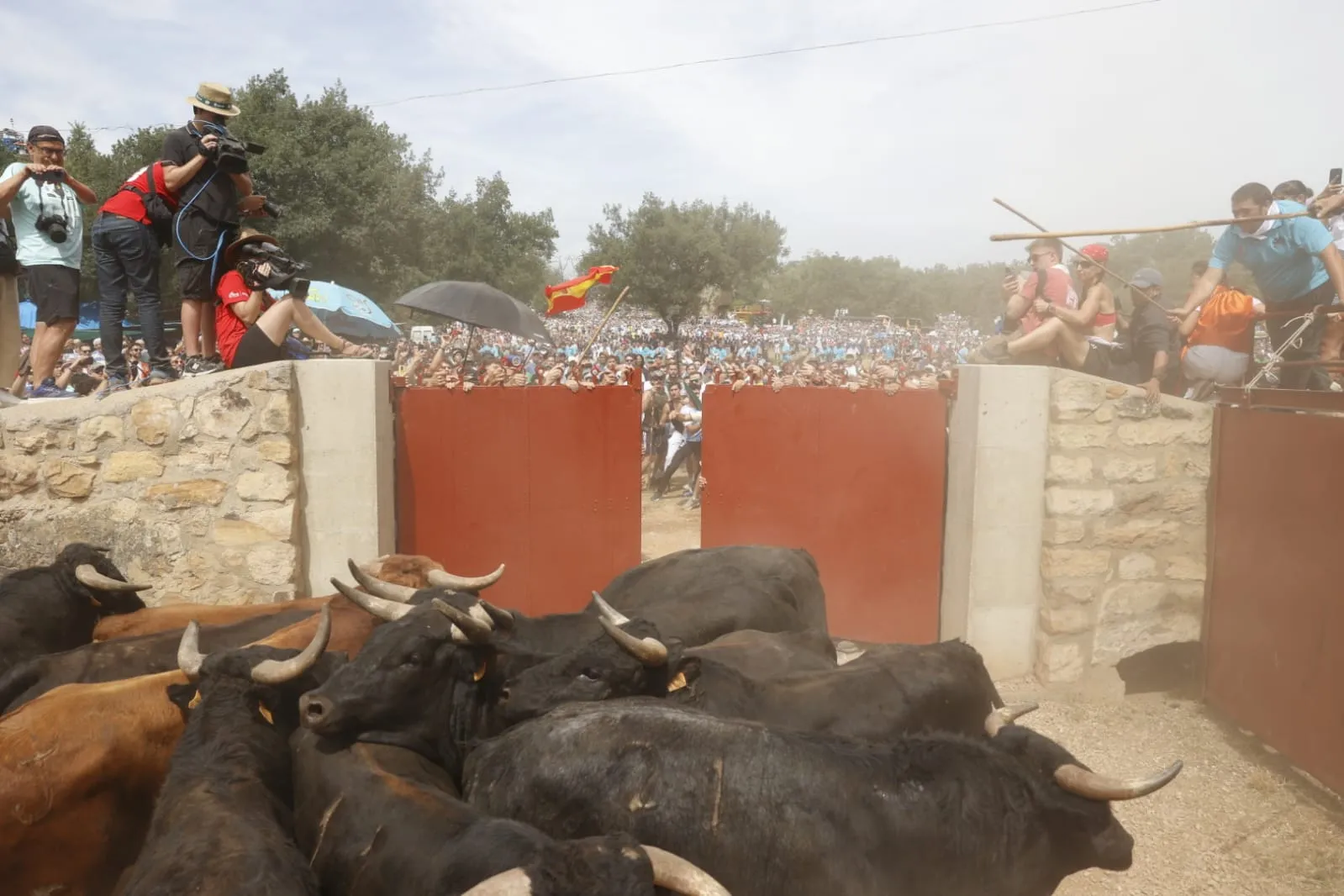 Distintos momentos de La Saca de 2026 con fotos de la redacción, María Ferrer, Víctor Casado y amigos de Soria Noticias.