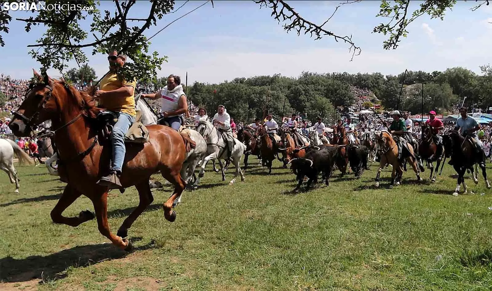 La ilusión de la primera Saca a caballo: Esperamos repetir