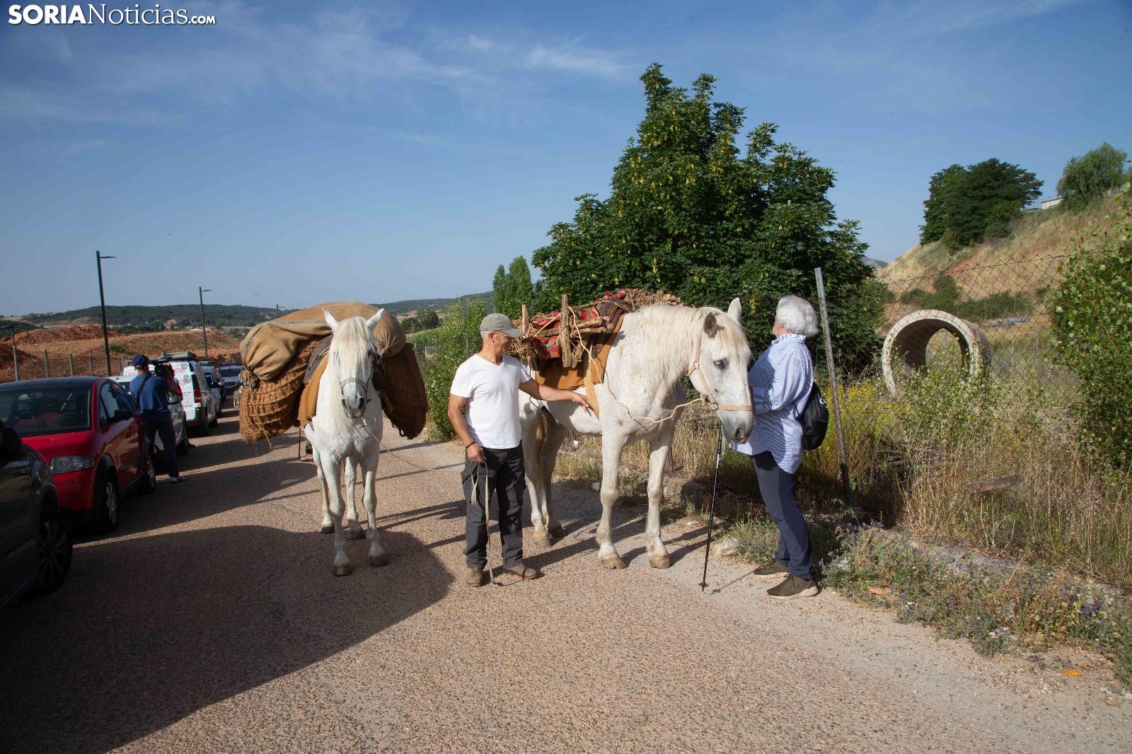 GALERÍA | El fin de una era, los hermanos Pérez y la última trashumancia merina en Soria