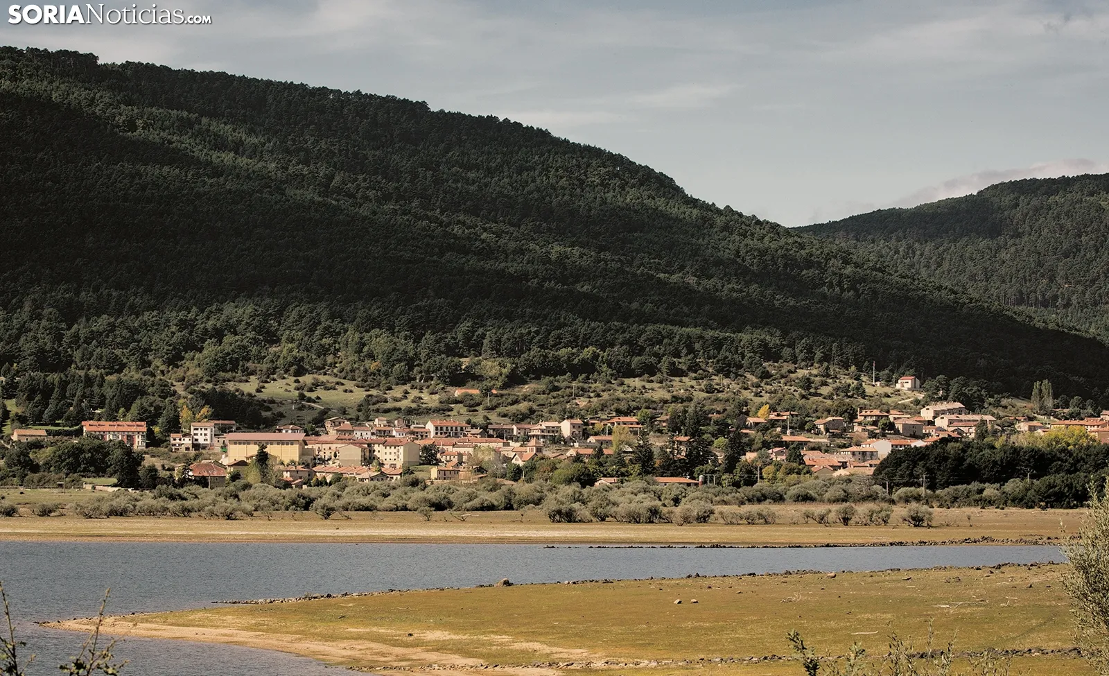 Dos nuevas cuadrillas forestales trabajarán hasta 2028 en diez municipios de las comarcas de Almarza y Vinuesa