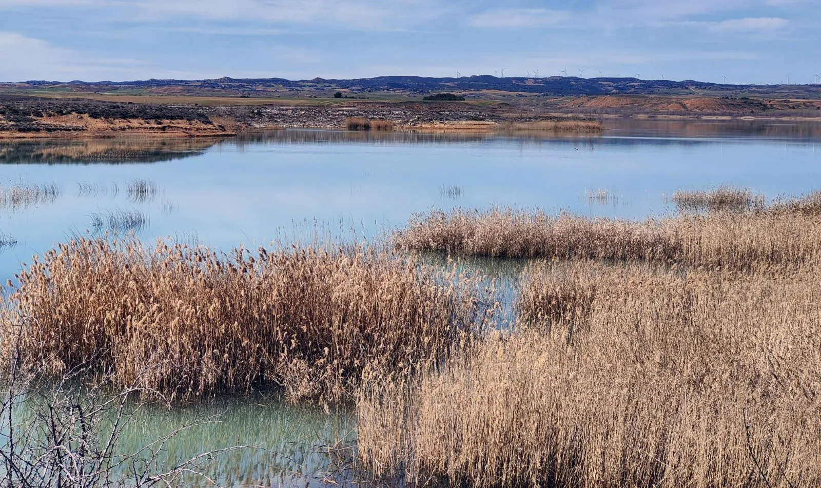 El embalse de Monteagudo, al 85,6 %