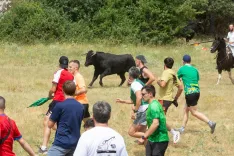 Imágenes de la salida de La Saca de Maria Ferrer.