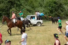 Imágenes de la salida de La Saca de Maria Ferrer.