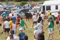 Imágenes de la salida de La Saca de Maria Ferrer.