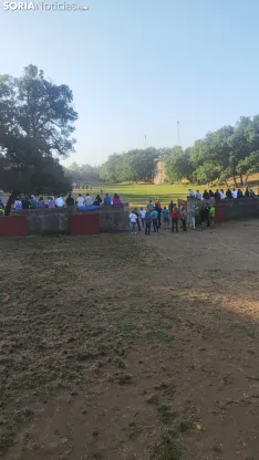 Foto 28 - 10 + 2, los novillos de La Saca 2026 ya est&aacute;n listos
