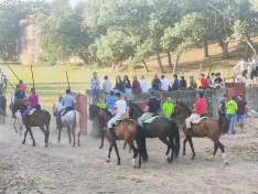 Foto 29 - 10 + 2, los novillos de La Saca 2026 ya est&aacute;n listos