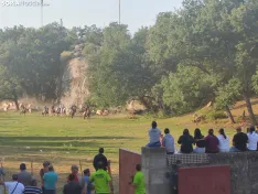 Foto 26 - 10 + 2, los novillos de La Saca 2026 ya est&aacute;n listos