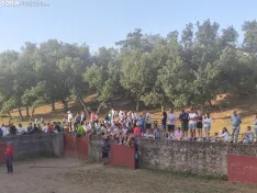 Foto 17 - 10 + 2, los novillos de La Saca 2026 ya est&aacute;n listos