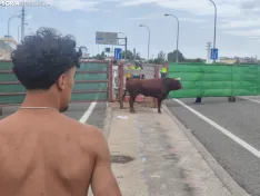 La saca 2026.