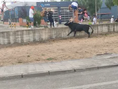 La saca 2026.