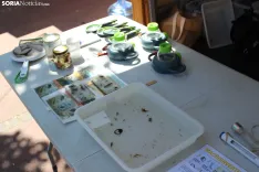 Foto 14 -  De huellas de aves a calidad del agua: la inmersi&oacute;n total de los ni&ntilde;os en el Duero