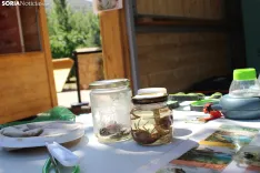 Foto 12 -  De huellas de aves a calidad del agua: la inmersi&oacute;n total de los ni&ntilde;os en el Duero