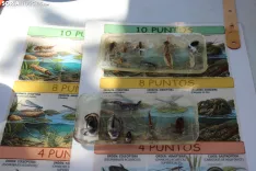 Foto 11 -  De huellas de aves a calidad del agua: la inmersi&oacute;n total de los ni&ntilde;os en el Duero