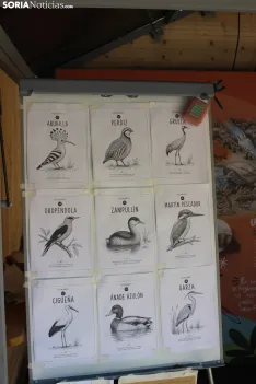 Foto 8 -  De huellas de aves a calidad del agua: la inmersi&oacute;n total de los ni&ntilde;os en el Duero