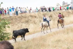 Distintos momentos de La Saca de 2026 con fotos de la redacción, María Ferrer, Víctor Casado y amigos de Soria Noticias.