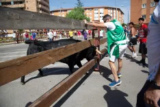 Distintos momentos de La Saca de 2026 con fotos de la redacción, María Ferrer, Víctor Casado y amigos de Soria Noticias.