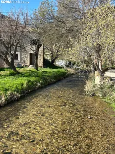 Foto 16 - Ruta: Ca&ntilde;&oacute;n del Talegones y sus narcisos